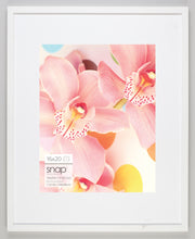 Everyday Frames: Snap Collection